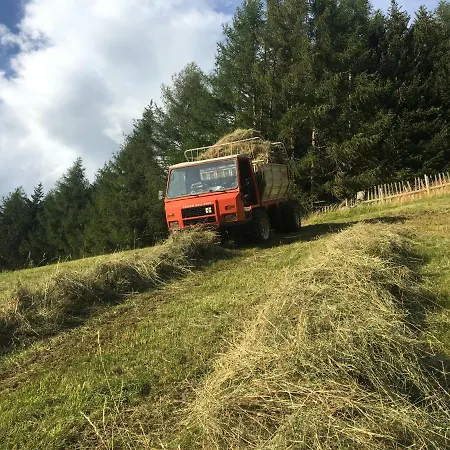 Almhuette Adlerhorst